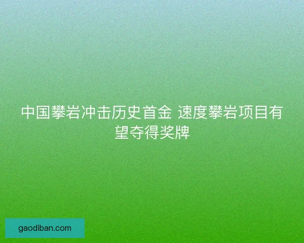 中国攀岩冲击历史首金 速度攀岩项目有望夺得奖牌