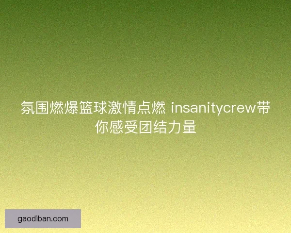 氛围燃爆篮球激情点燃 insanitycrew带你感受团结力量