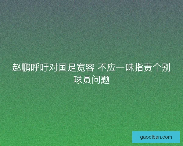 赵鹏呼吁对国足宽容 不应一味指责个别球员问题